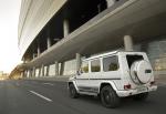 Mercedes-AMG G63 463 Edition 2015 года
